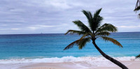 Beaches